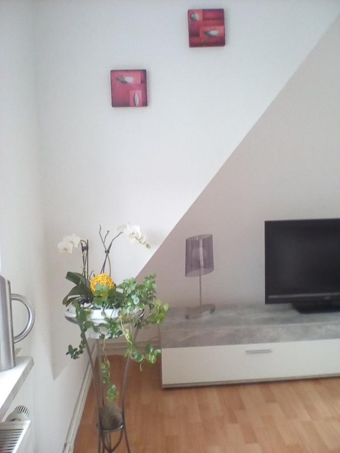 Ferienwohnung Am Geiersberg Walkenried Buitenkant foto