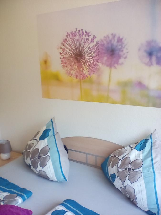 Ferienwohnung Am Geiersberg Walkenried Buitenkant foto