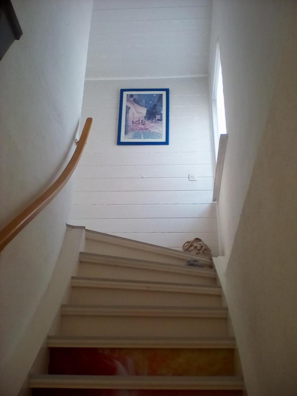Ferienwohnung Am Geiersberg Walkenried Buitenkant foto