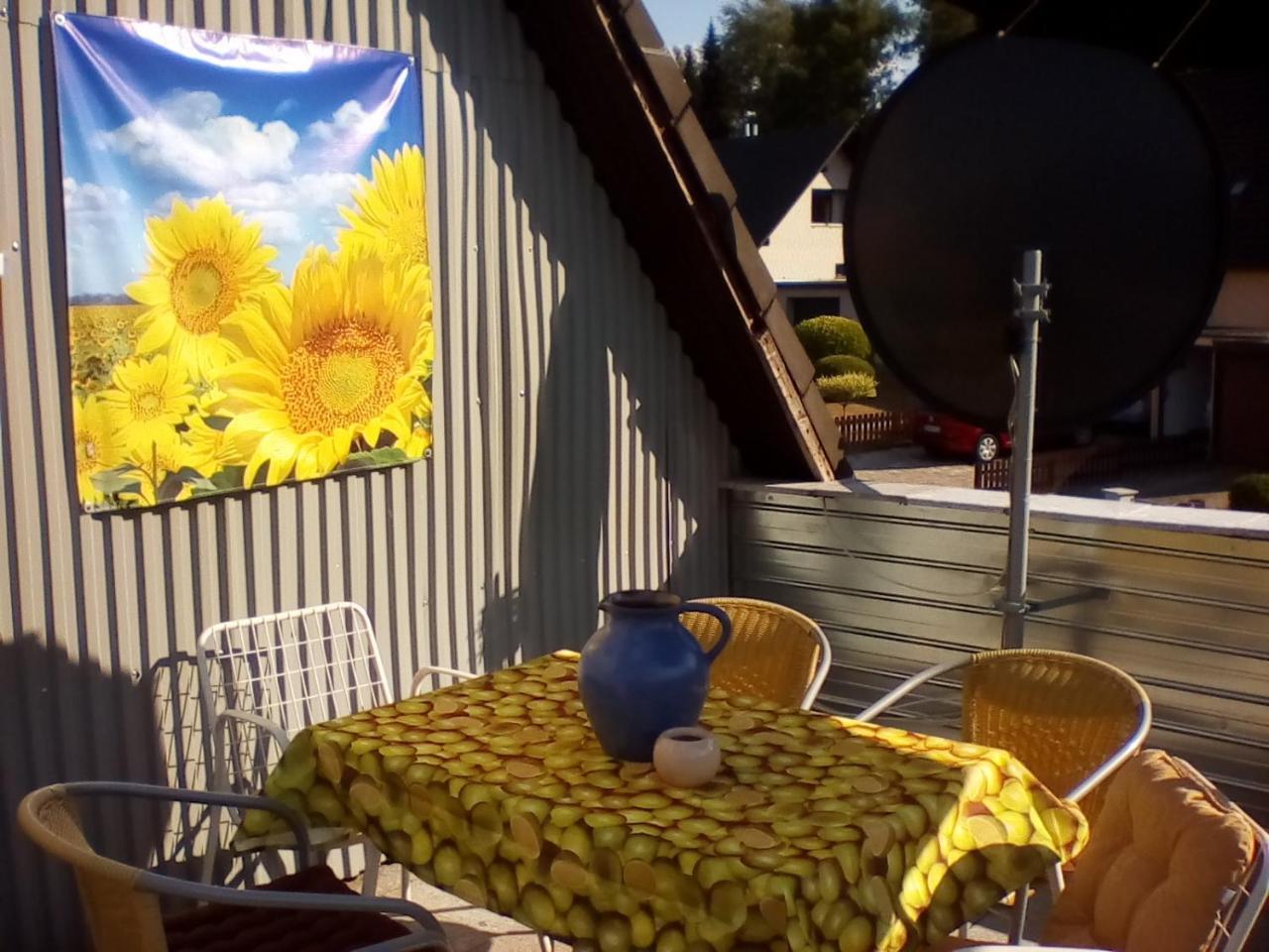 Ferienwohnung Am Geiersberg Walkenried Buitenkant foto