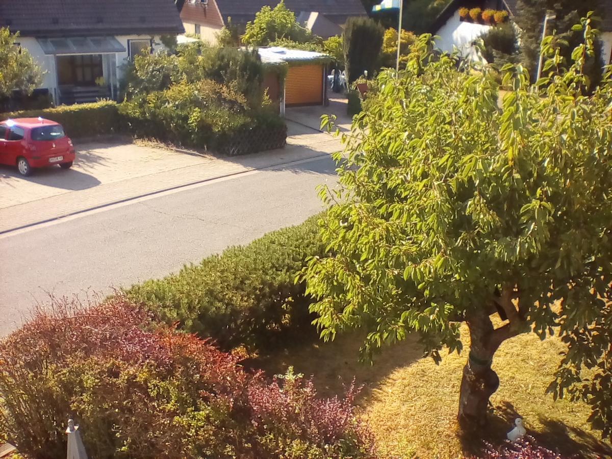 Ferienwohnung Am Geiersberg Walkenried Buitenkant foto
