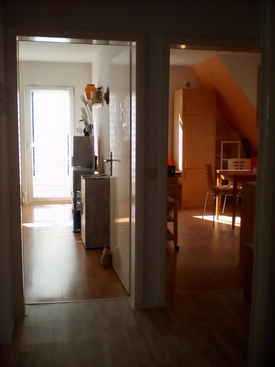 Ferienwohnung Am Geiersberg Walkenried Buitenkant foto
